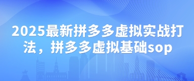 2025最新拼多多虚拟实战打法,拼多多虚拟基础sop-水滴知识网