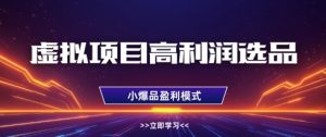 虚拟项目高利润选品方法,做好单店利润1W+,可多店倍增利润-水滴知识网