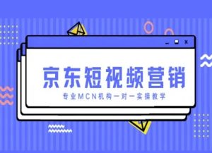京东短视频营销项目,专业MCN机构一对一实操教学-水滴知识网