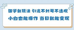 国学新玩法，引流不封号不违规小白也能操作，当日就能变现-水滴知识网