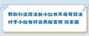男粉引流玩法(新)，玩法友好做的好当天就能变现-水滴知识网