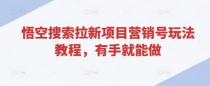 悟空搜索拉新项目营销号玩法教程，有手就能做-水滴知识网