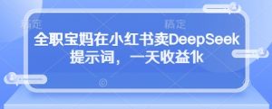 全职宝妈在小红书卖DeepSeek提示词,一天收益1k-水滴知识网
