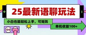 25年最新语聊玩法,纯手工,单机收益100+,小白也能轻松上手,可矩阵操作-水滴知识网