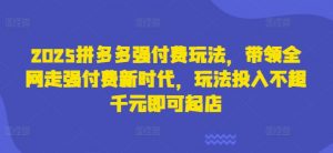 2025拼多多强付费玩法,带领全网走强付费新时代,玩法投入不超千元即可起店-水滴知识网