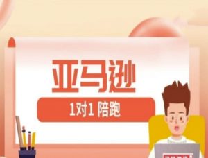 亚马逊1对1陪跑课(FBA/FBM精铺)跨境亚马逊教程-水滴知识网