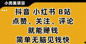 小而美的项目,抖音小红书B站视频点赞、关注、评论就能挣钱,简单无脑立见收益,妥妥的零撸项目【揭秘】-水滴知识网