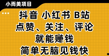 小而美的项目,抖音小红书B站视频点赞、关注、评论就能挣钱,简单无脑立见收益,妥妥的零撸项目【揭秘】-水滴知识网