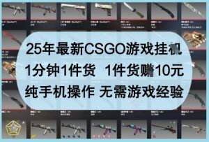 25年最新CSGO游戏挂G，1分钟1件货，1件货挣10元，纯手机操作，无需游戏经验【揭秘】-水滴知识网