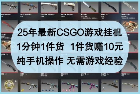 25年最新CSGO游戏挂G,1分钟1件货,1件货挣10元,纯手机操作,无需游戏经验【揭秘】-水滴知识网