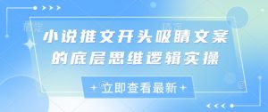 小说推文开头吸睛文案的底层思维逻辑实操-水滴知识网