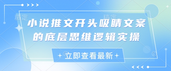小说推文开头吸睛文案的底层思维逻辑实操-水滴知识网