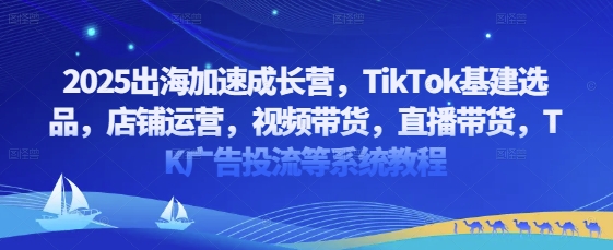 2025出海加速成长营，TikTok基建选品，店铺运营，视频带货，直播带货，TK广告投流等系统教程-水滴知识网