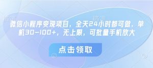 微信小程序变现项目,全天24小时都可做,单机30-100+,无上限,可批量手机放大-水滴知识网