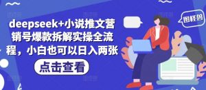 deepseek+小说推文营销号爆款拆解实操全流程，小白也可以日入两张-水滴知识网