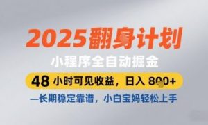 2025小程序全自动掘金,48 小时可见收益,日入8张,长期稳定靠谱,小白宝妈轻松上手【揭秘】-水滴知识网