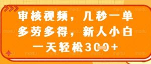 视频审核员，几秒一单，不限时间，不限地点，多做多得，新人小白一天轻松几张+【揭秘】-水滴知识网
