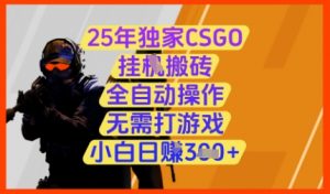 25年独家CSGO挂G搬砖，全自动操作，无需打游戏，小白日入3张+【揭秘】-水滴知识网