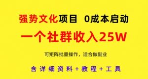 强势文化项目,一个社群收入25个W,0成本启动,可矩阵批量操作,原创详细实操教程-水滴知识网