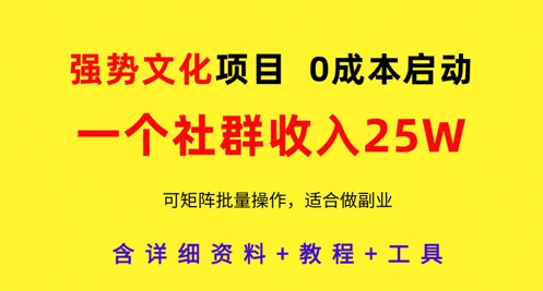 强势文化项目,一个社群收入25个W,0成本启动,可矩阵批量操作,原创详细实操教程-水滴知识网