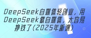DeepSeek自媒体轻创业，用DeepSeek做自媒体，太容易挣钱了(2025年新课)-水滴知识网