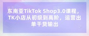 东南亚TikTok Shop3.0课程,TK小店从初级到高阶,运营出单干货输出-水滴知识网