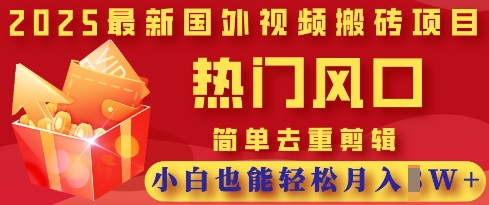 2025最新视频搬砖项目，热门风口，简单去重剪辑，小白也能轻松月入过W-水滴知识网