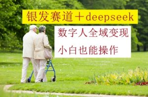 银发赛道+deepseek数字人全域变现,小白也能操作-水滴知识网