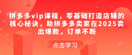 拼多多vip课程,零基础打造店铺的核心秘诀,助拼多多卖家在2025卖出爆款,订单不断-水滴知识网