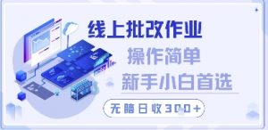 线上批改作业，操作简单新手小白首选，无脑日收300+【揭秘】-水滴知识网