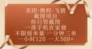 飞猪美团截图项目，你只管截图，一部手机在家做，正规平台无套路，一天5张+【揭秘】-水滴知识网