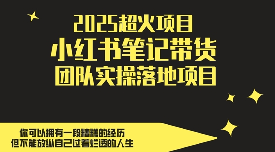 2025超火项目,副业最佳选择,小红书笔记带货团队实操落地项目,,轻松日入5张-水滴知识网