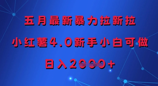 五月最新暴力拉新拉，小红薯4.0新手小白可做，日入多张-水滴知识网