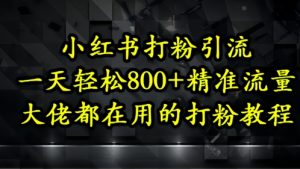 小红书打粉引流,一天轻松500+精准流量,大佬都在用的打粉教程-水滴知识网