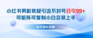 小红书男粉常规引流不封号日引99+变现简单 可矩阵可复制小白容易上手-水滴知识网