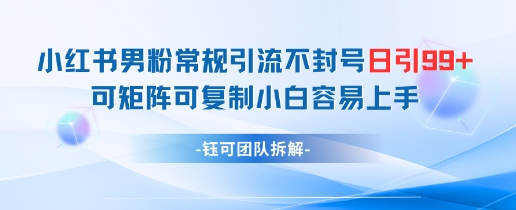 小红书男粉常规引流不封号日引99+变现简单 可矩阵可复制小白容易上手-水滴知识网