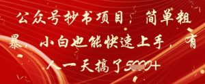 公众号抄书项目，简单粗暴，小白也能快速上手，有人一天搞了1k+-水滴知识网