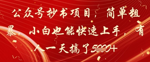 公众号抄书项目,简单粗暴,小白也能快速上手,有人一天搞了1k+-水滴知识网
