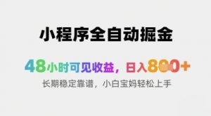 小程序全自动掘金,48小时可见收益,日入8张+长期稳定靠谱,小白宝妈轻松上手【揭秘】-水滴知识网