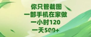 你只管截图，一部手机在家做，苹果安卓都可以，一天5张+【揭秘】-水滴知识网