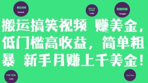 搬运搞笑视频挣美金,低门槛高收益,简单粗暴新手月入上千美刀-水滴知识网