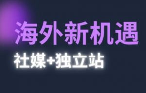 2025出海新机遇(社媒+独立站),海外新机遇,实现独立站的高效运营与出海-水滴知识网