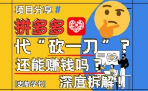 【2025最新】拼多多代坎助力项目深度拆解：还能挣钱吗?全流程玩法-水滴知识网