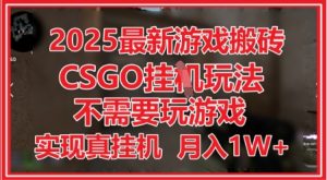2025最新游戏搬砖，CSGO挂G，不需要玩游戏，实现真挂G，月入1W+【揭秘】-水滴知识网