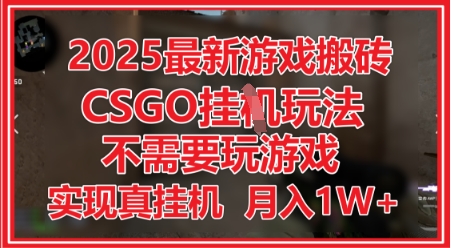 2025最新游戏搬砖，CSGO挂G，不需要玩游戏，实现真挂G，月入1W+【揭秘】-水滴知识网