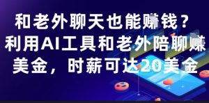 和老外聊天也能挣钱?利用AI工具和老外陪聊挣美金,时薪可达20刀-水滴知识网