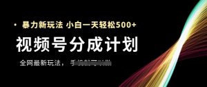 视频号分成计划,全网最暴力玩法,新手一天也能轻松5张+-水滴知识网