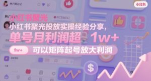 小红书聚光投放实操经验分享,单号月利润超1w+,可以矩阵起号放大利润-水滴知识网