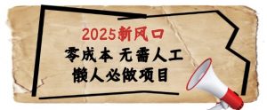 2025新风口，懒人必做项目，浏览器全自动掘金【揭秘】-水滴知识网