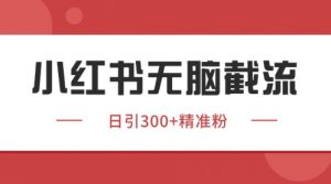 小红书只要你有同行就能获客，独家野路子获客玩法，暴力截流【揭秘】-水滴知识网